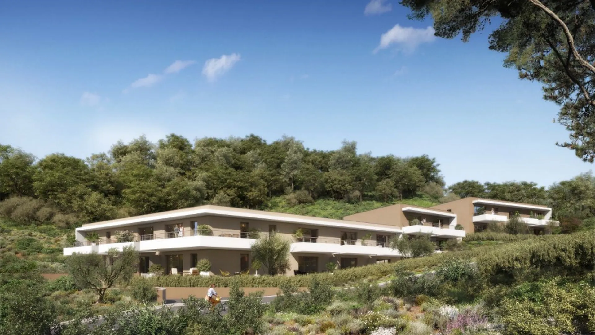 Le clos des oliviers
