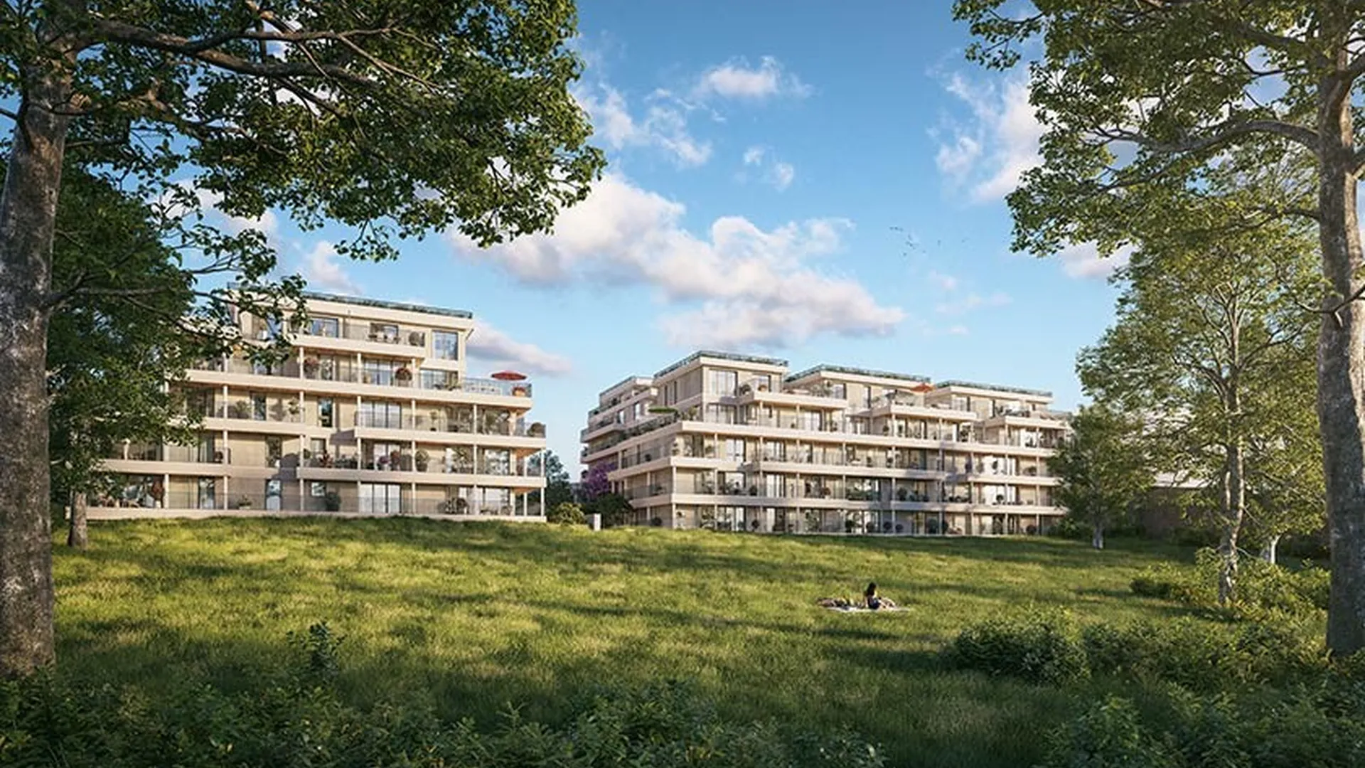 Le jardin des carmes