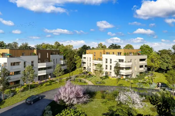 Le domaine des vignes