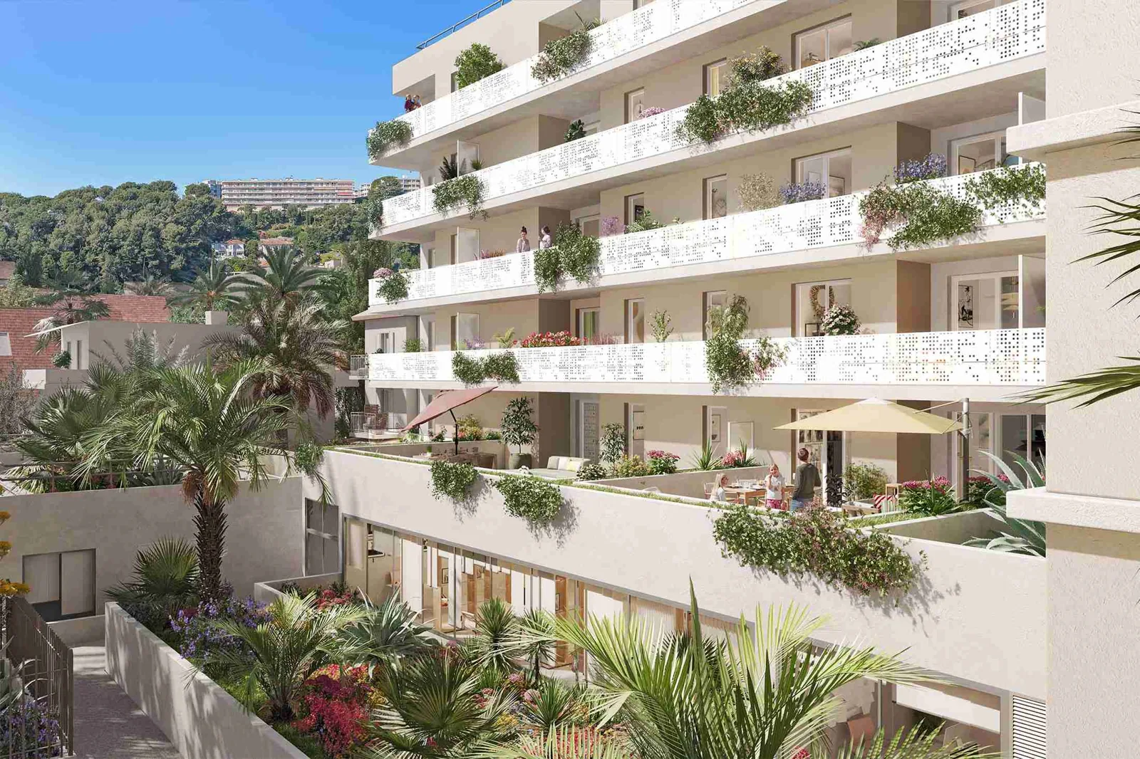 Visuel du programme Palm square