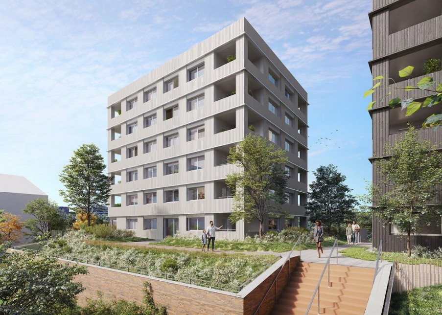 Visuel du programme Absolu9