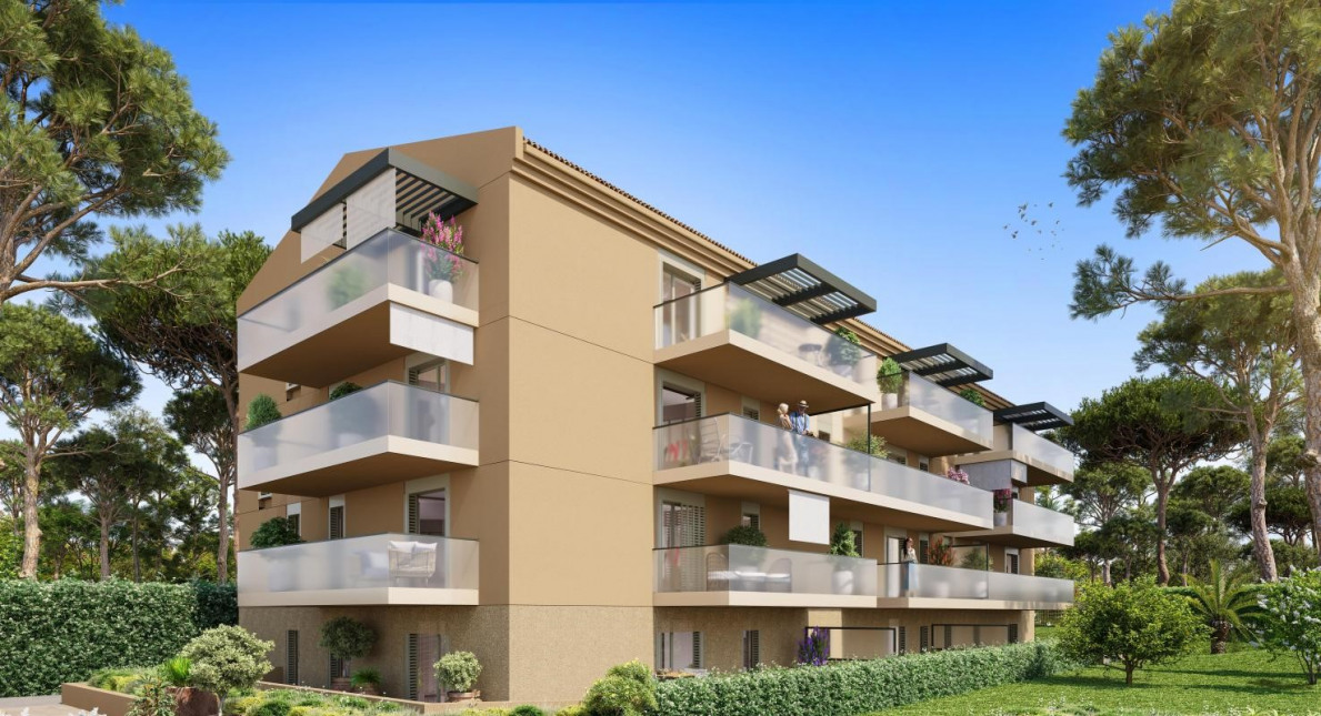 Visuel du programme Ansana