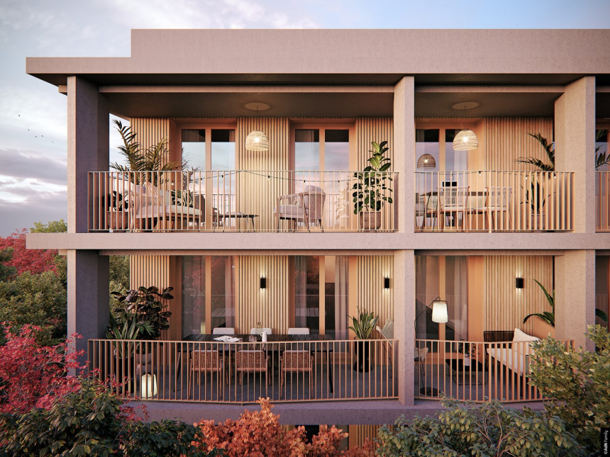 Visuel du programme Ava nova