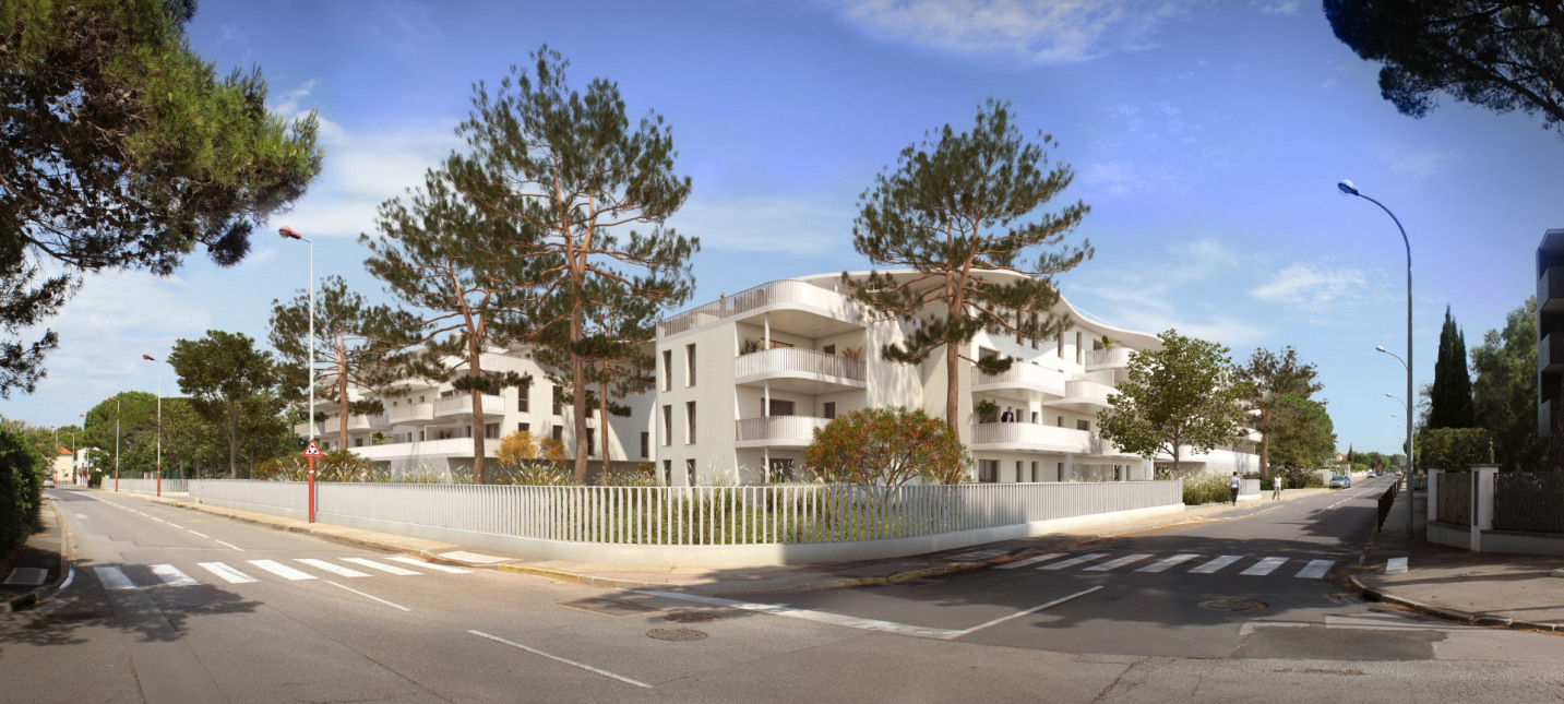 Visuel du programme Bella mila