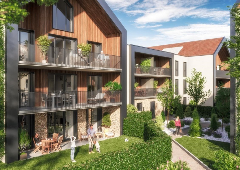 Visuel du programme Bois et lumière