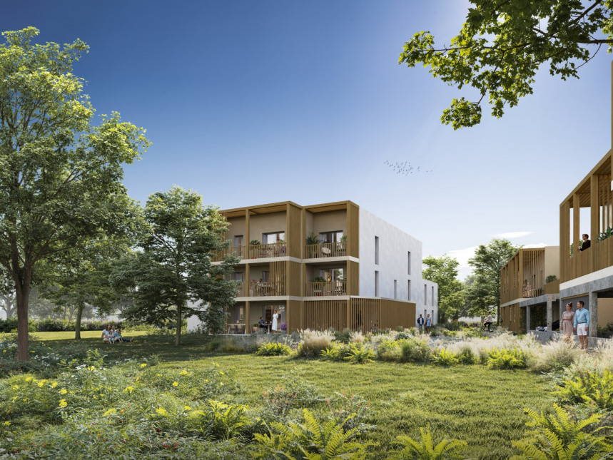 Visuel du programme Boisea