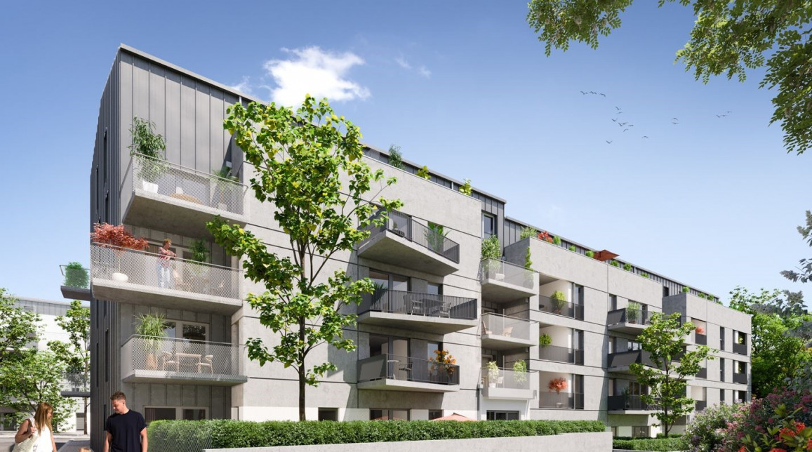 Visuel du programme Cedar park