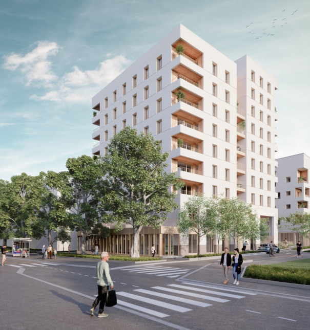 Visuel du programme Chêne rouge