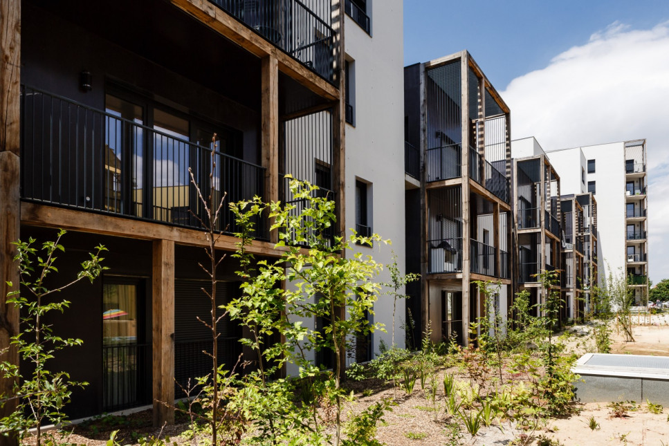 Visuel du programme Clorofil