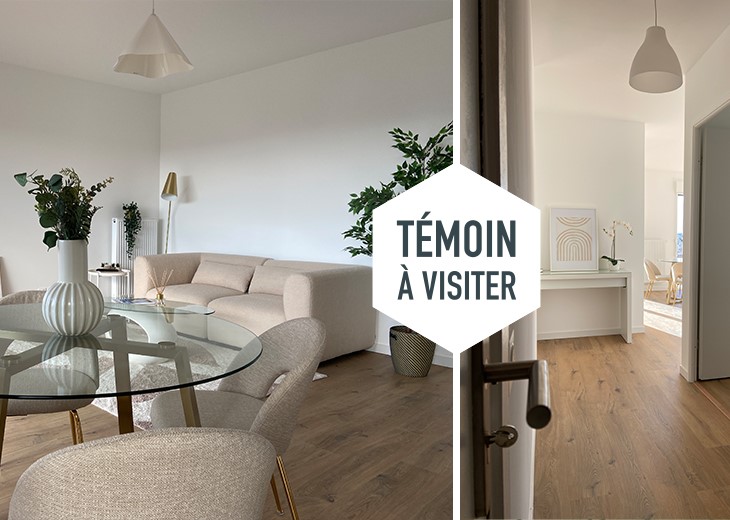 Visuel du programme Explore