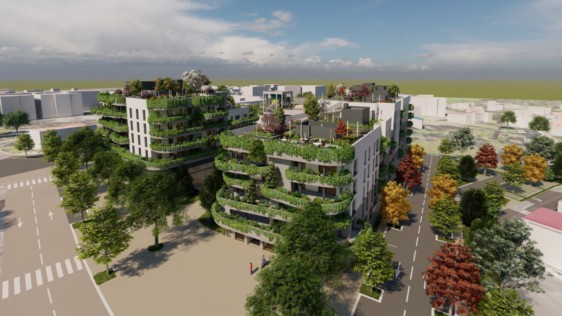 Visuel du programme Grandola