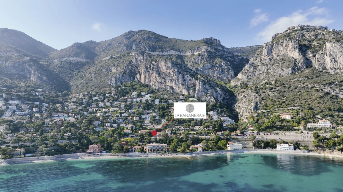 Visuel du programme La bananeraie