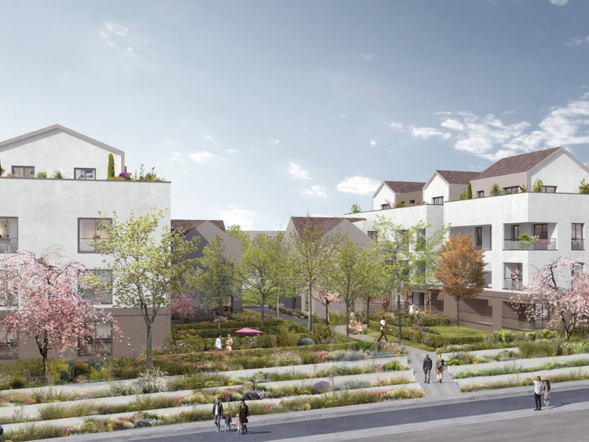 Visuel du programme La clé des saules