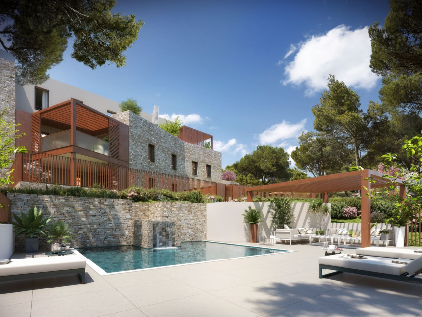 Visuel du programme La danse des pins