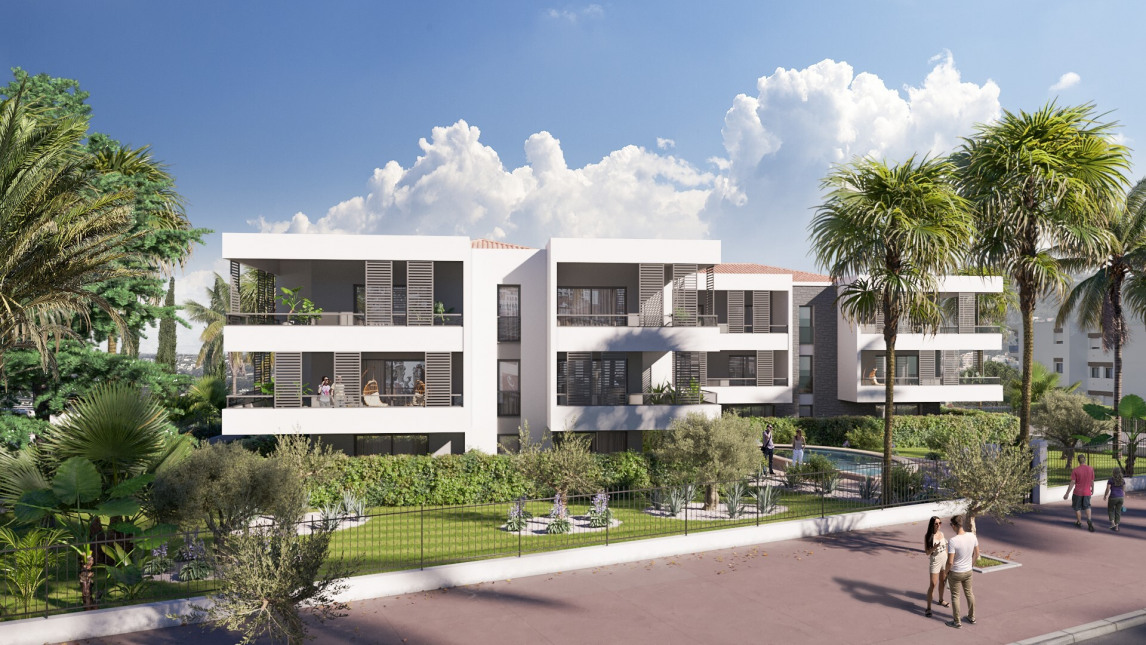 Visuel du programme La palme