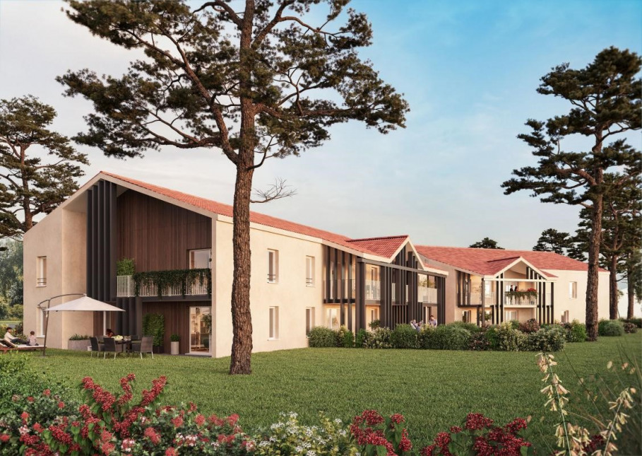 Visuel du programme La pinède