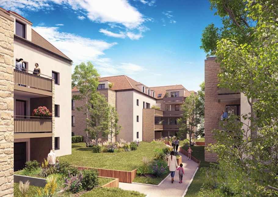 Visuel du programme L'amaryllis