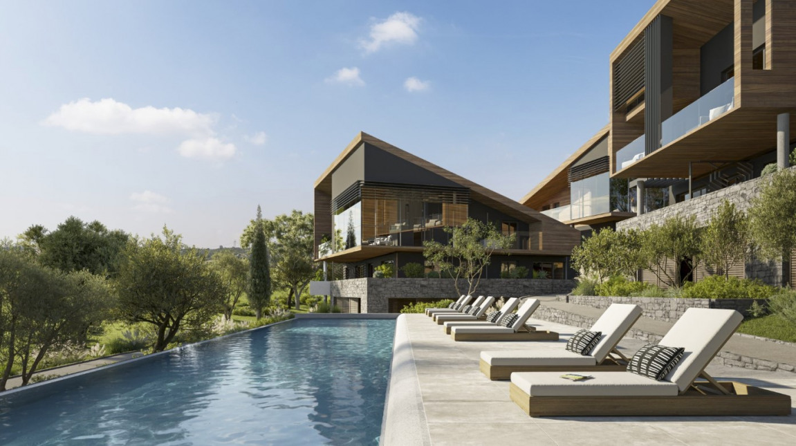 Visuel du programme Le birdie