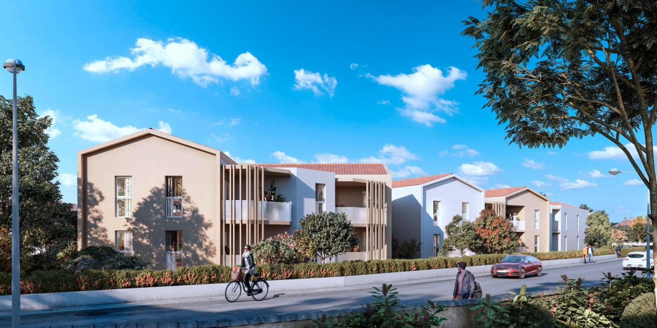 Visuel du programme Le carignan