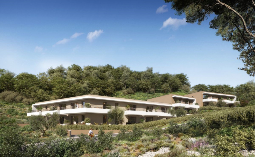 Visuel du programme Le clos des oliviers