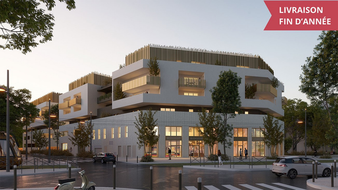 Visuel du programme Le condor