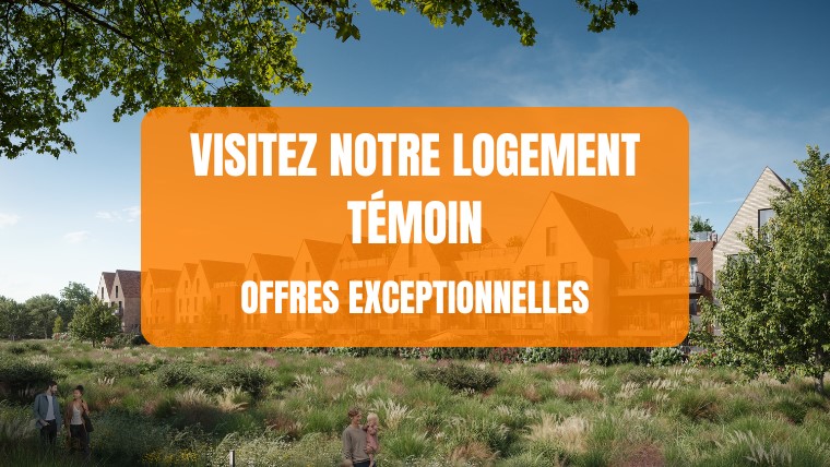 Visuel du programme Le domaine d'adèle