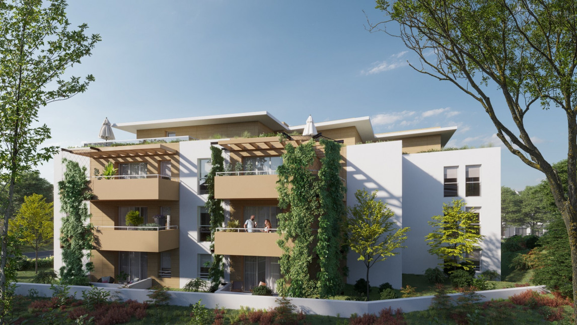 Visuel du programme Le patioa