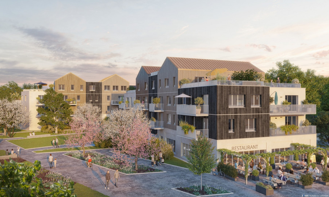 Visuel du programme Le saule blanc