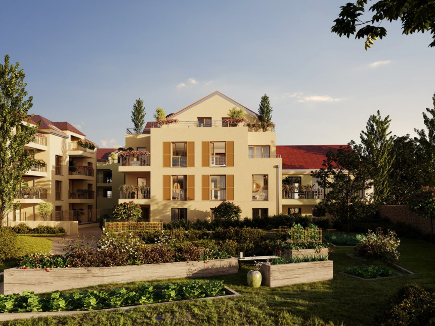 Visuel du programme L'envol