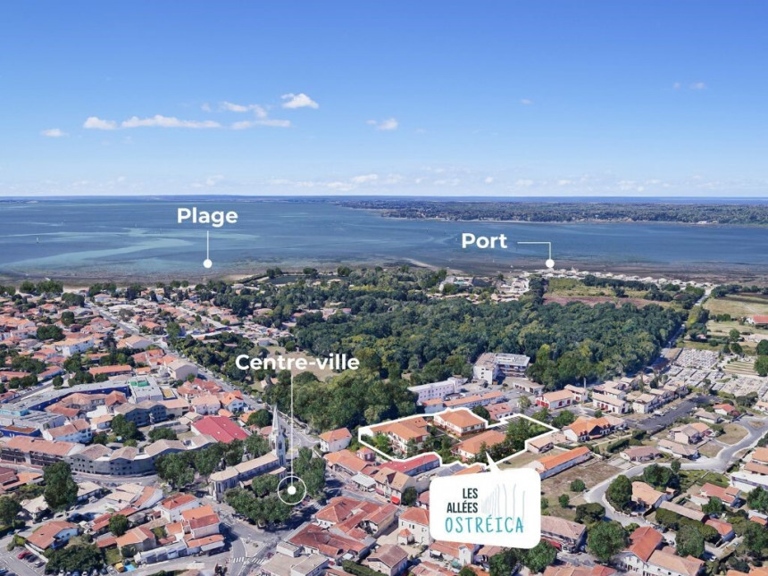 Visuel du programme Les allées ostréica