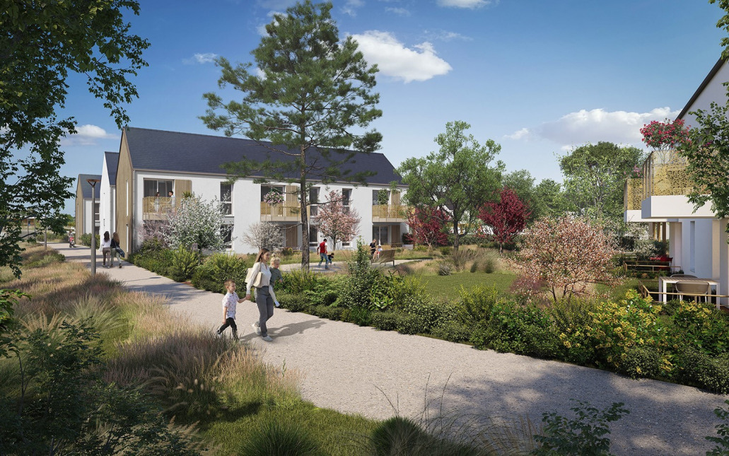 Visuel du programme Les bosquets