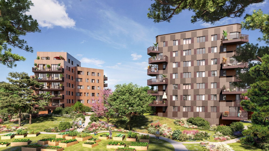 Visuel du programme Les camélias