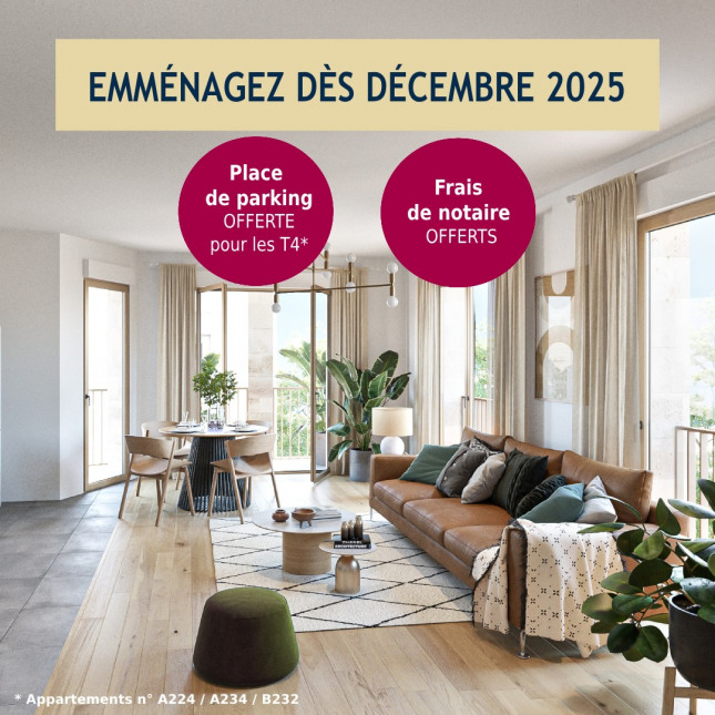 Visuel du programme Les lumières