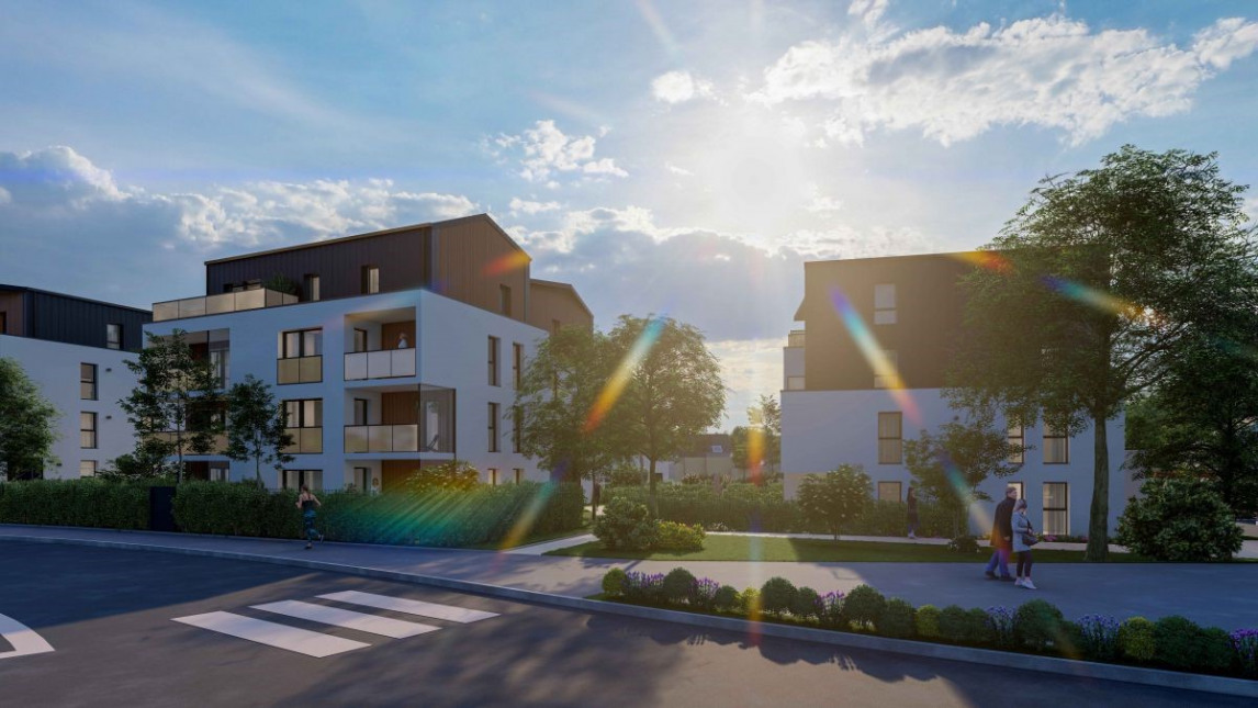 Visuel du programme Les orangers