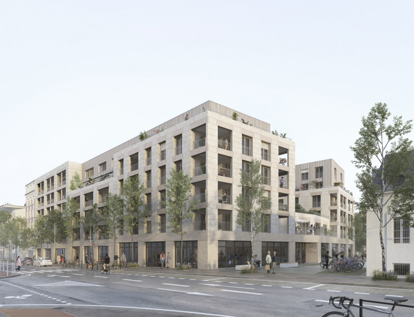 Visuel du programme Les pierres sauvages