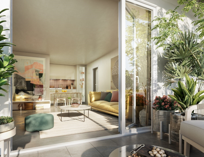 Visuel du programme Les sarments