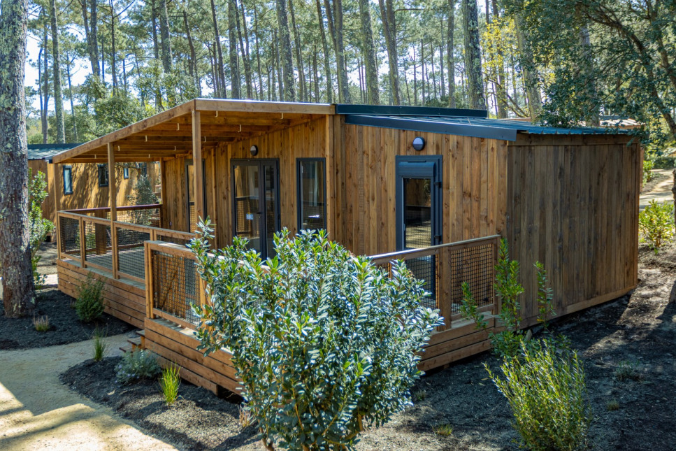 Visuel du programme Les terrasses de l'océan