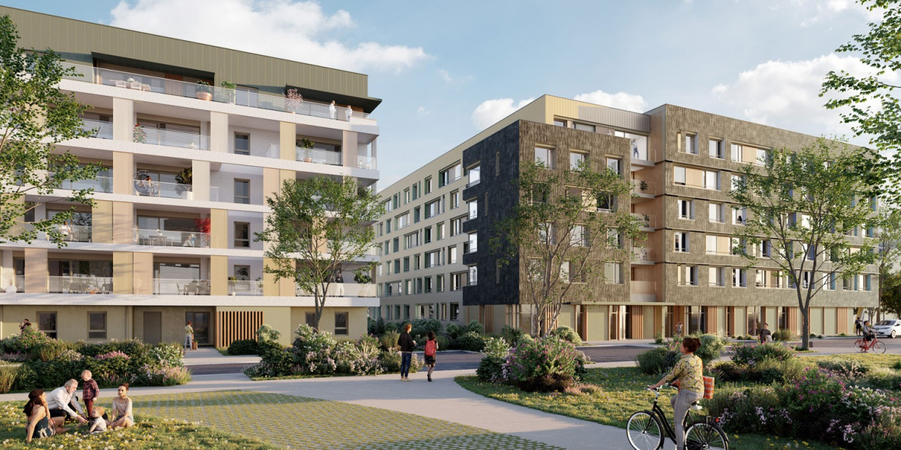 Visuel du programme L'eveil - everlake