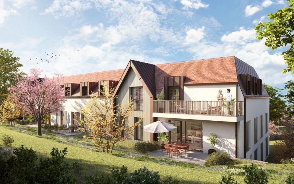 Visuel du programme L'oree des aulnes