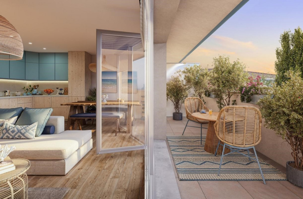 Visuel du programme Meri