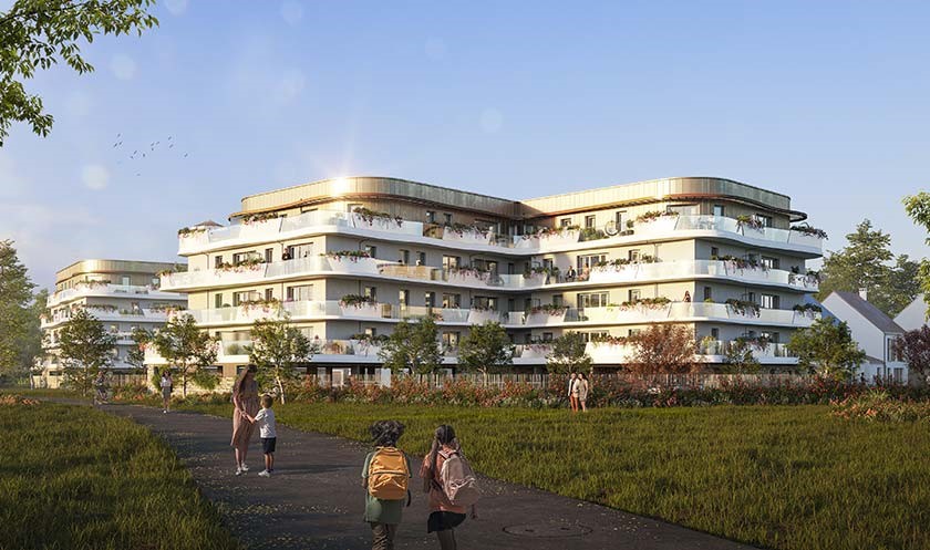 Visuel du programme Mycelium