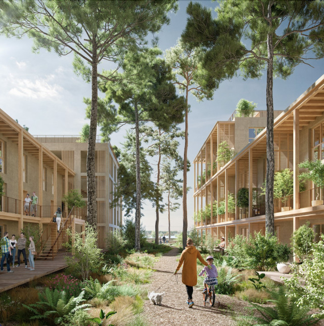 Visuel du programme Noème