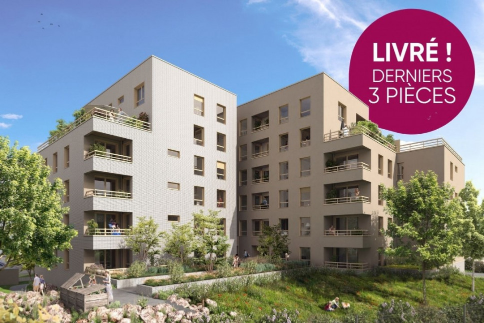 Visuel du programme Noeme