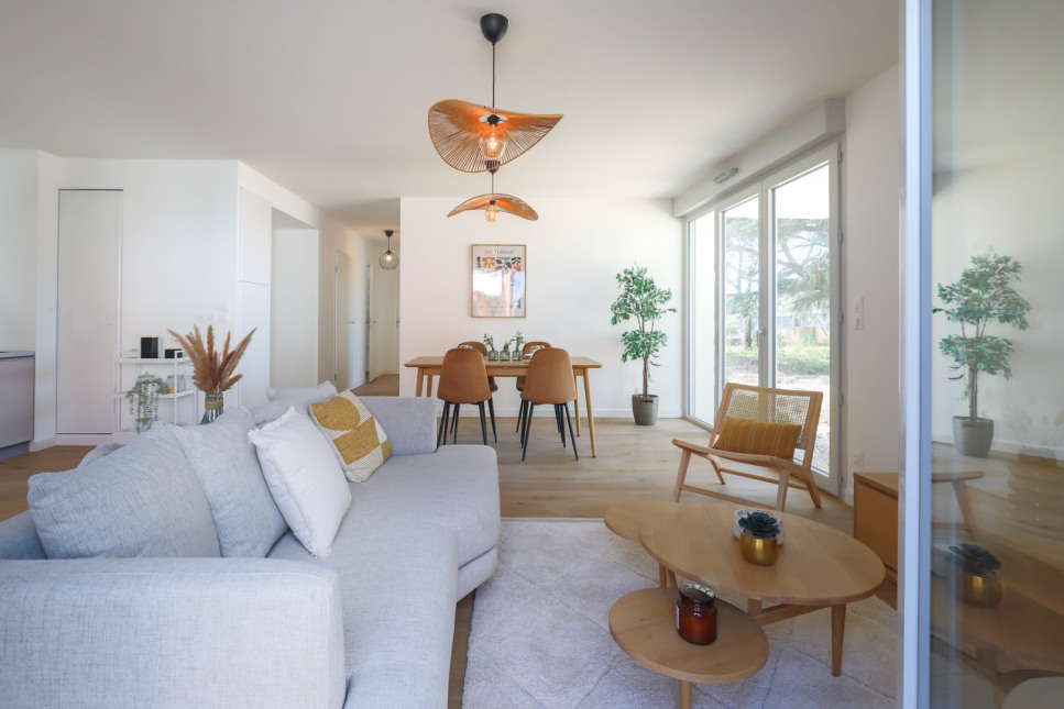 Visuel du programme Okami