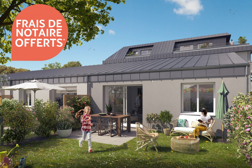 Visuel du programme Organza