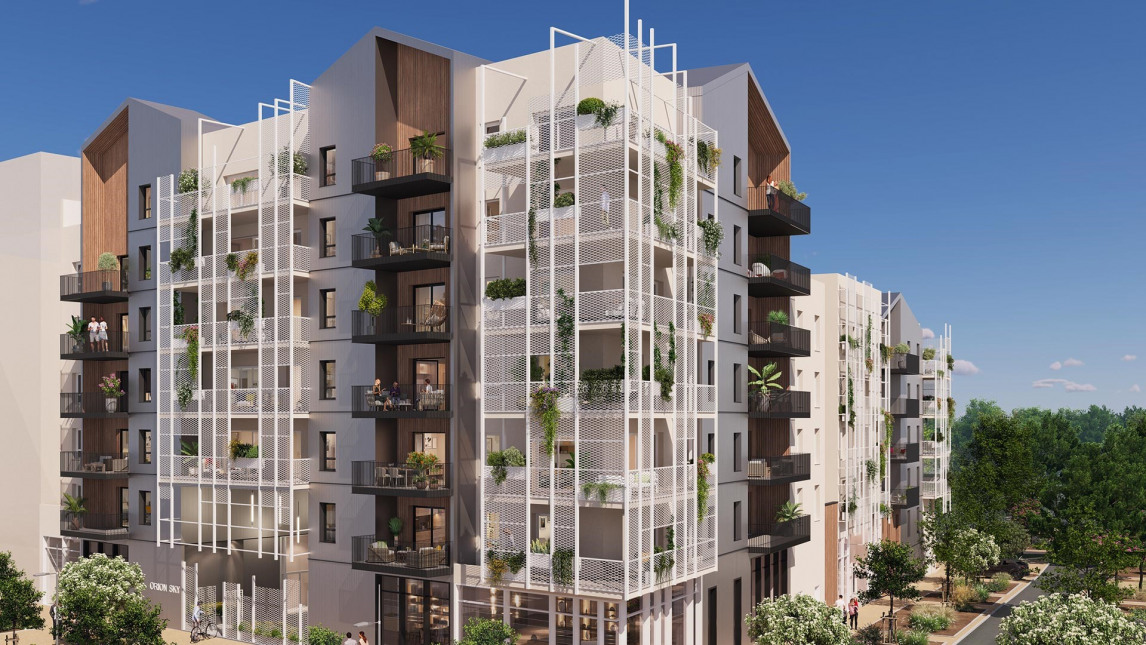 Visuel du programme Orion sky à port marianne