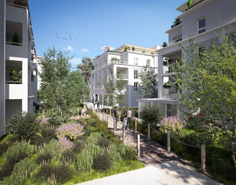 Visuel du programme Ostrea