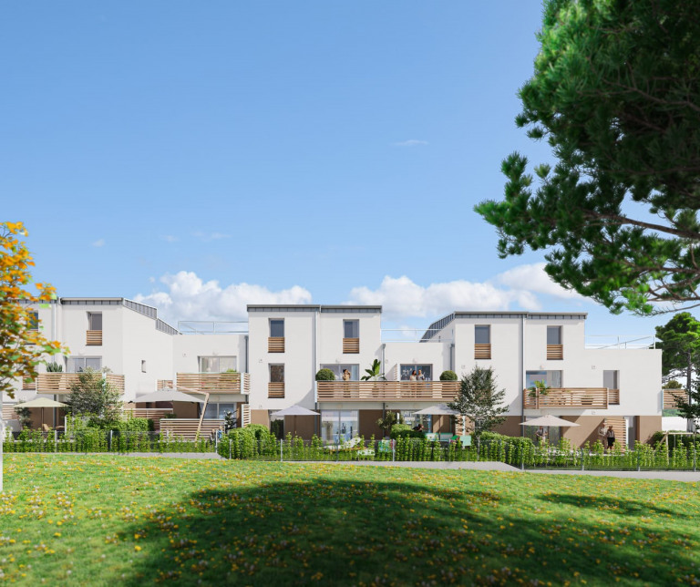 Visuel du programme Oxalis