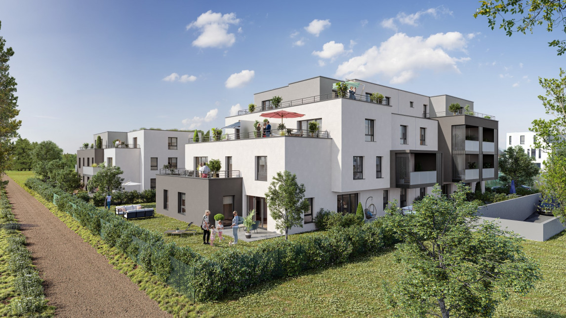 Visuel du programme Panorama