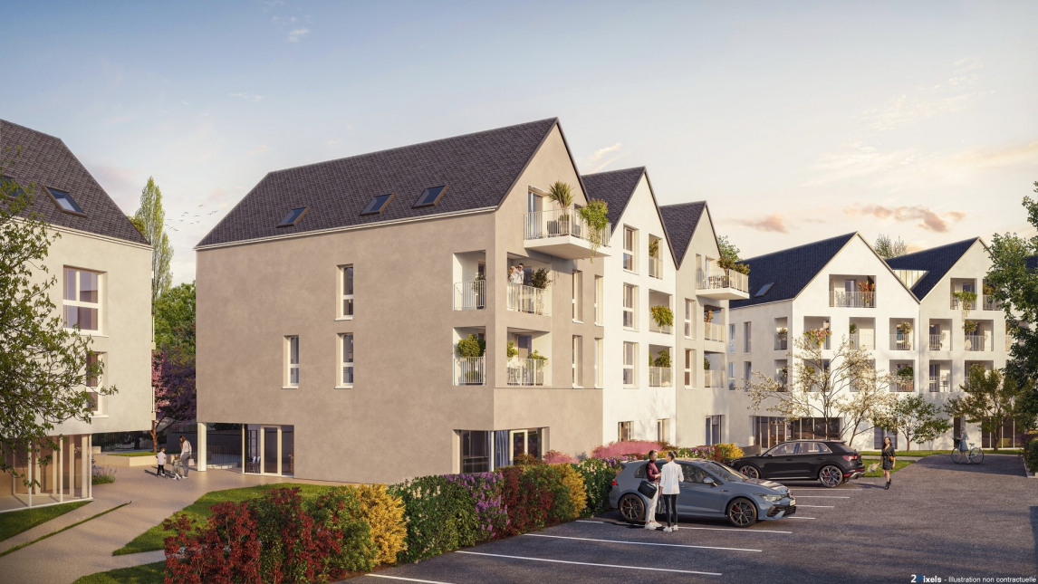 Visuel du programme Papyrus